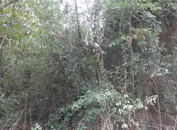 0 Waters Street, Monticello, GA 31064