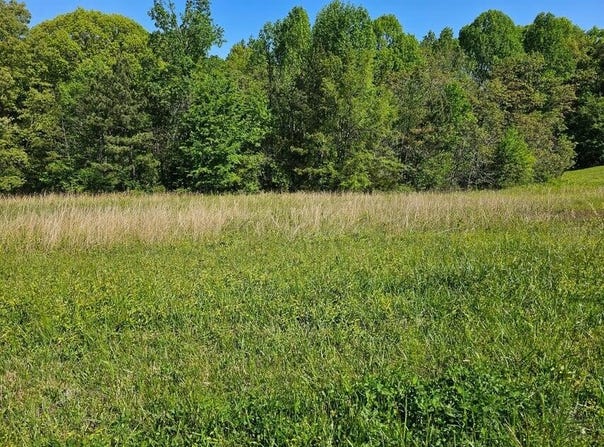 0 County Road 321 Lot 7, Niota, TN 37826
