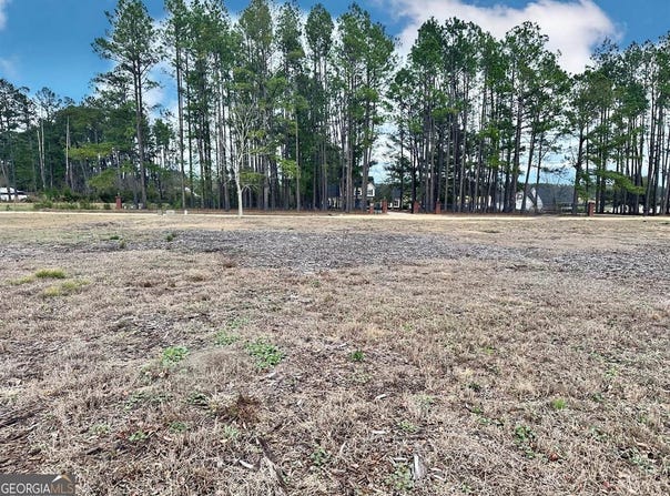 0 Southside Drive, Blackshear, GA 31516