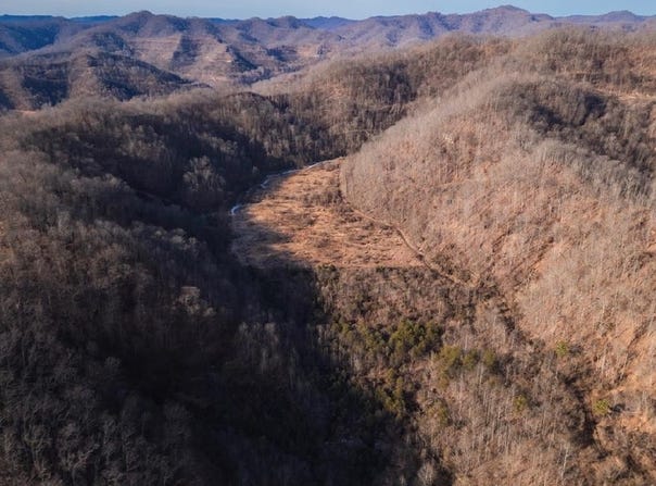 Cow Branch, Belfry, KY 41514