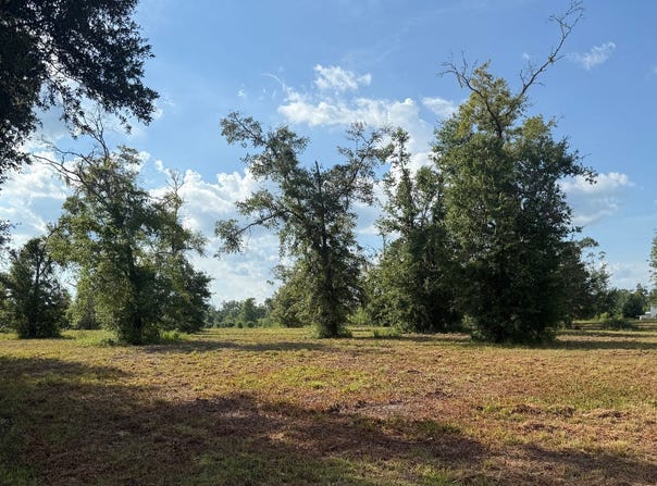 TBD 89TH ROAD, Live Oak, FL 32060