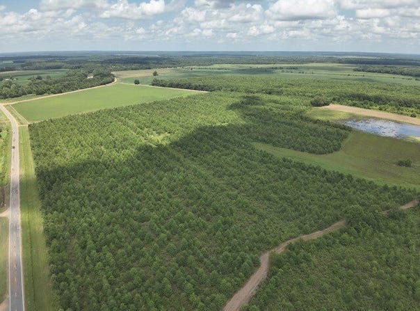 0 Highway 8, Philipp, MS 38950