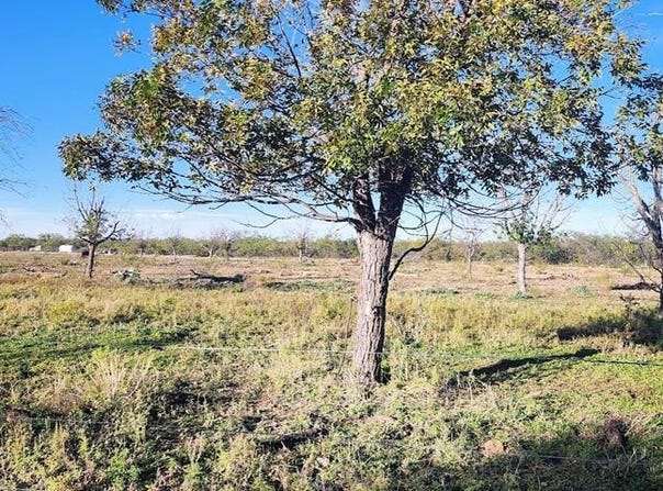 201 Orchard Lane lot: 12 13 14, Mertzon, TX 76941