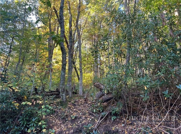 Hidden Springs Road lot: 8, West Jefferson, NC 28694