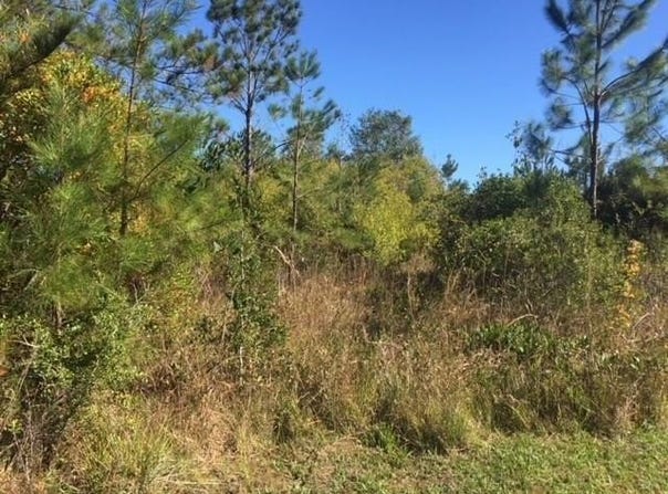 BONNIE Lane lot: 3, Covington, LA 70433