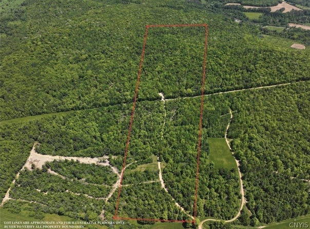 River Road, Belmont, NY 14813