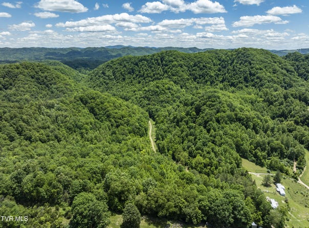 Tbd Lick Creek Drive, Fort Blackmore, VA 24250