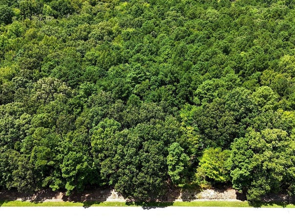 Tbd Boat Ramp Road, New Hope, NC 27944