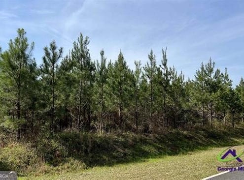 Lot 1 Whitfield, Elko, GA 31025