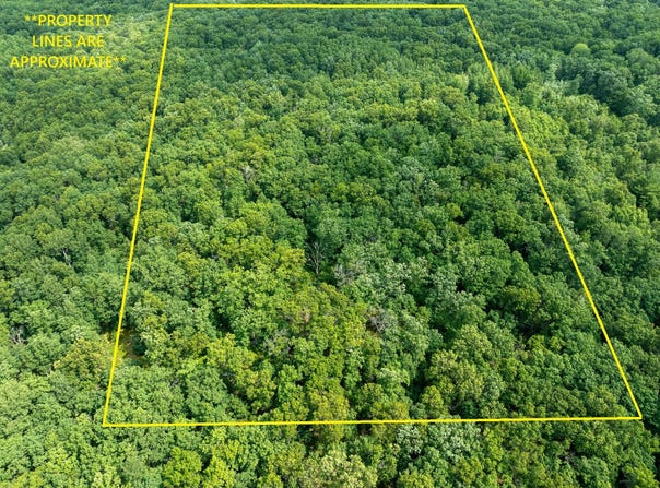 6946 W 7 Mile Road, Irons, MI 49644