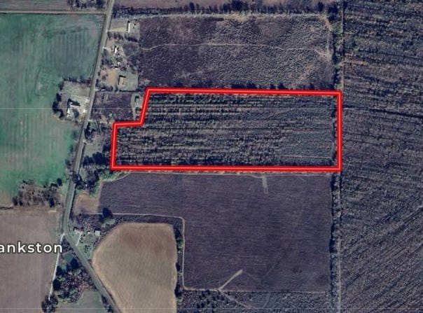 TBD Blankston Rd., Columbia, LA 71418