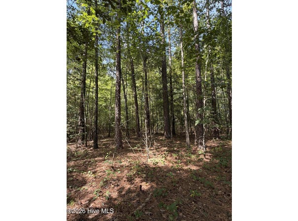 1d Gelding Gap Lane, Carthage, NC 28327