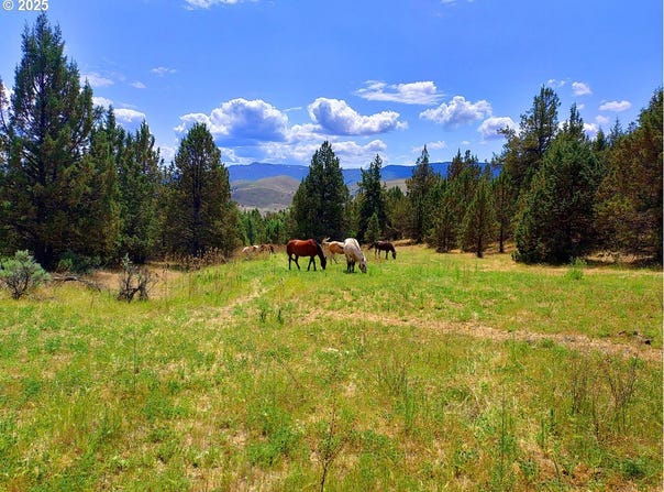 Wiley Creek Rd, Dayville, OR 97825