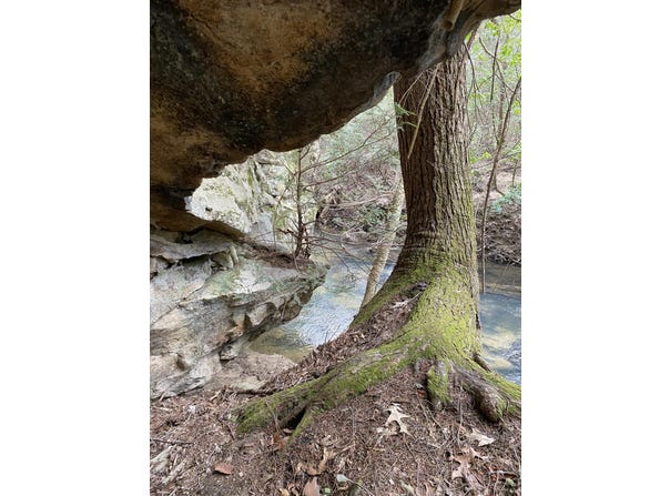 0 Lone Wolf Trail, Spencer, TN 38585