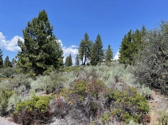 KNA 25 Legget Drive, Chiloquin, OR 97624
