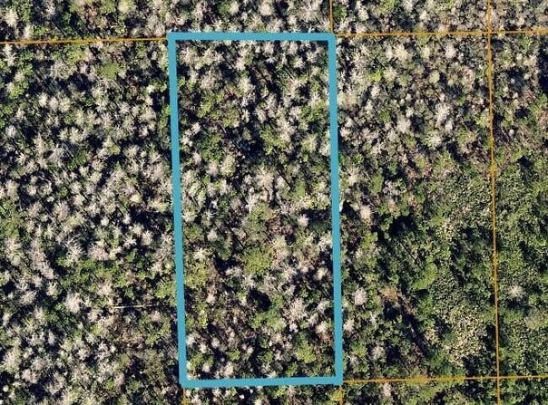 No Street County, Lake Helen, FL 32744