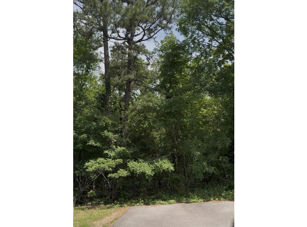 Cresthaven Street, Conway, AR 72034-3004