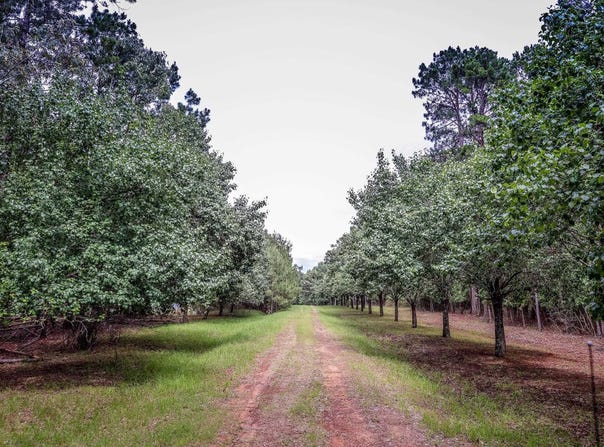 2188 HARKINS LN, Marshall, TX 75672