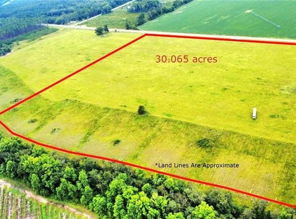 3690 N Highway 121, Blackshear, GA 31516