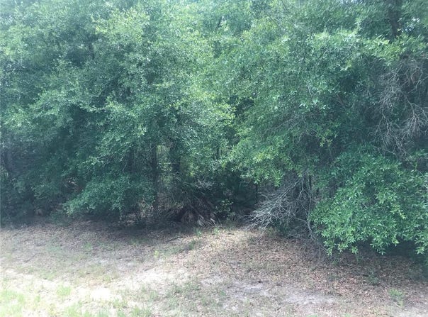 10161 N DYAL DRIVE, CITRUS SPRINGS, FL 34434