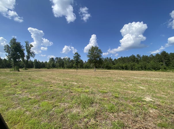 30.02 Acre Old Hwy 49, Hattiesburg, MS 39401