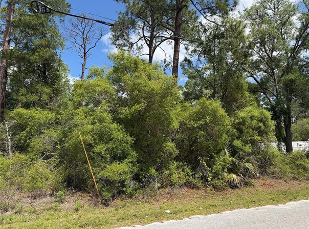 MARYLAND STREET, PAISLEY, FL 32767