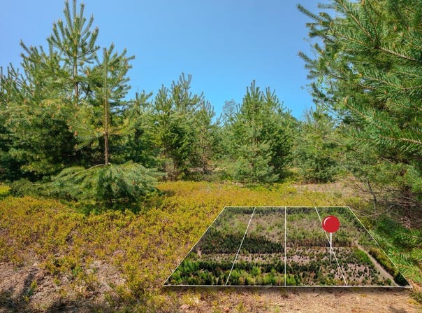 Lot 3 W Pendills Lake Road, Brimley, MI 49715