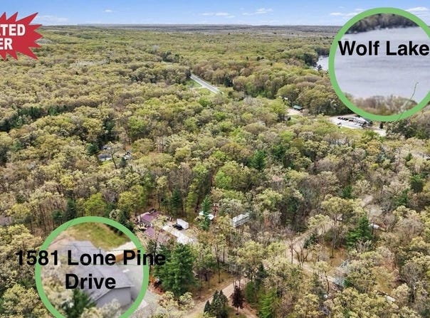 1581 Lone Pine Drive, Baldwin, MI 49304
