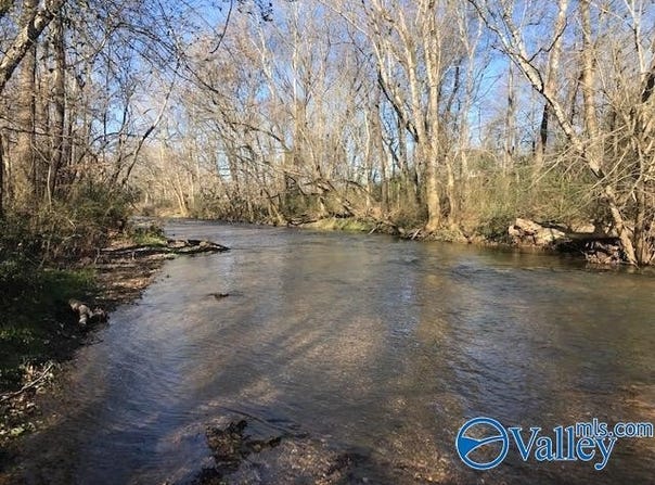 6777 Hwy 207, Anderson, AL 35610