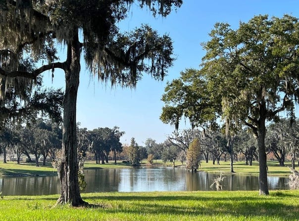 TBD SE 157TH STREET RD, SUMMERFIELD, FL 34491