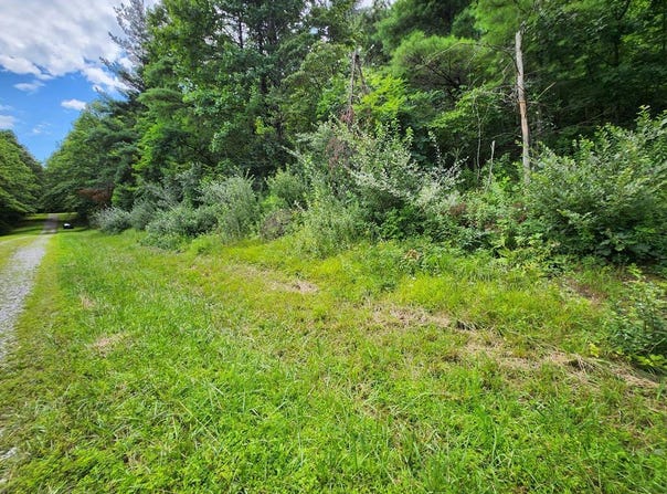 Lot 37 Hickory Hollow Ln, Copper Hill, VA 24079