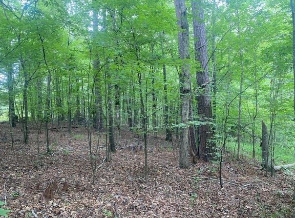 230 Crestridge Drive, Waynesboro, GA 30830