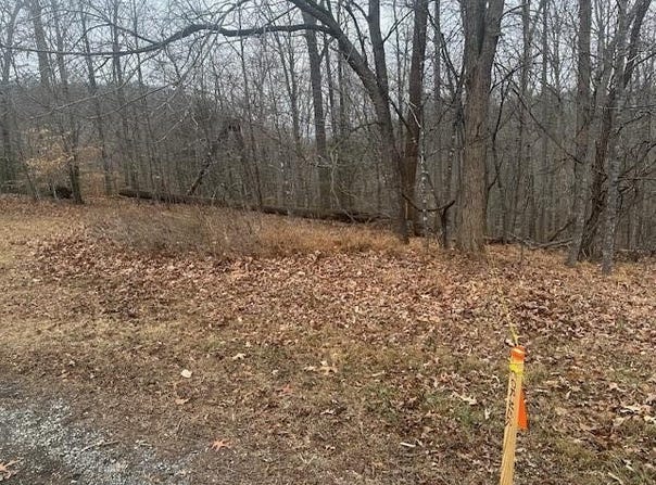 Ridge Dr, Goodview, VA 24095