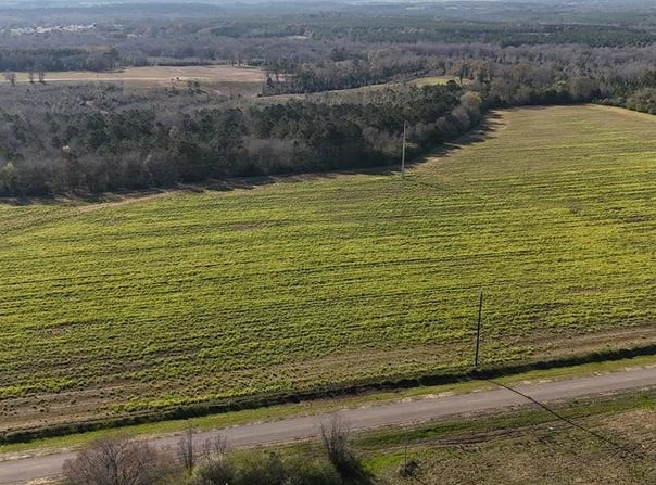 Lot 6 Gilley Mill Road, Headland, AL 36345