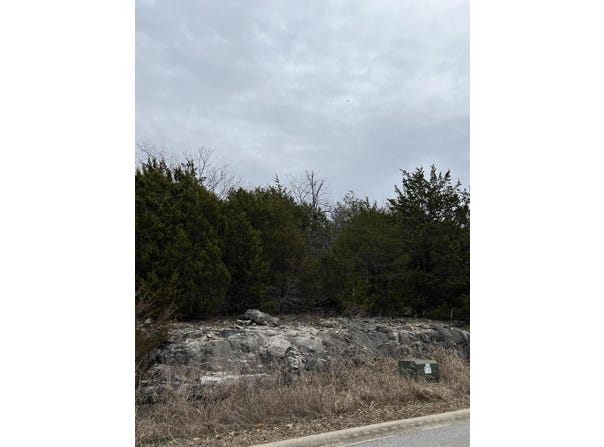 Crescent Drive, Hollister, MO 65672