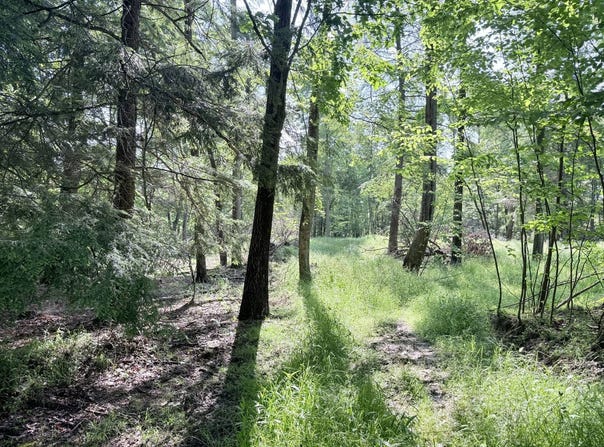00 Collingwood Rd, Kennerdell, PA 16374