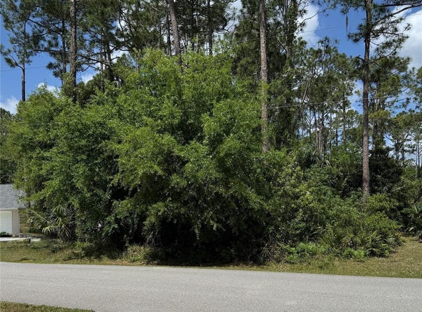 19 WASSERMAN DRIVE, PALM COAST, FL 32164