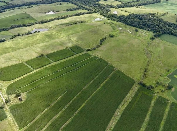 1100 70.44 Acres M\L, Wellman, IA 52356