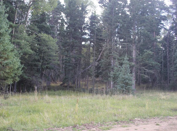 Sheilds Ave lot: 30, Black Lake, NM 87710-0000