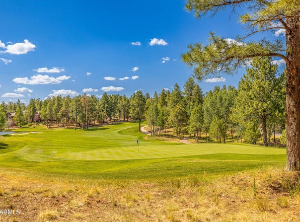 4008 S CLUBHOUSE Circle, Flagstaff, AZ 86005