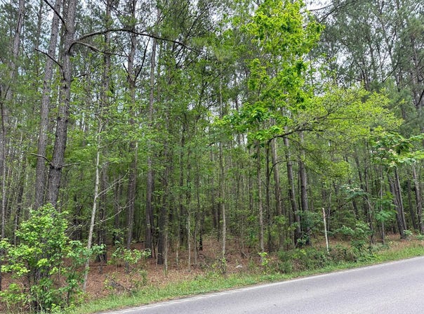 03 Mallard Road, Summerville, SC 29483