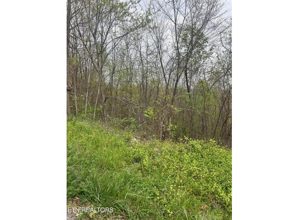 Lot 8 Hickory Pointe Lane, Maynardville, TN 37807
