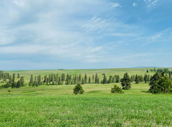 11900 Hays Rd, Spangle, WA 99031