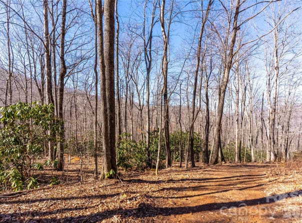 1248 Arborcrest Way, Swannanoa, NC 28778