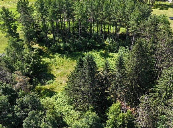 Lot 1 Sawyer Road, Hayward, WI 54843