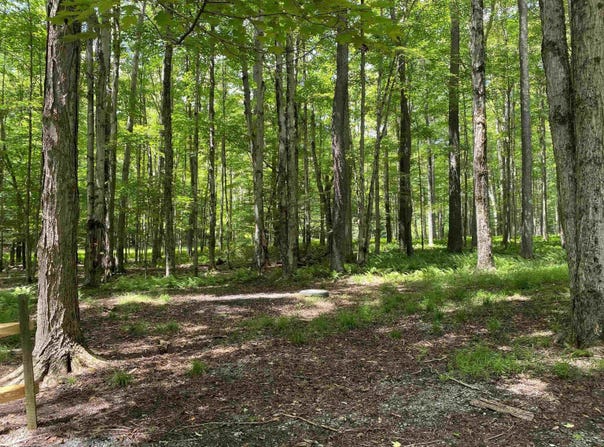 Bobcat Road lot: 42, Davis, WV 26260