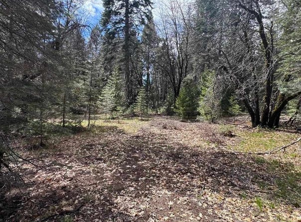 Blk D, L-21 U-1 Crater Way, McCloud, CA 96057