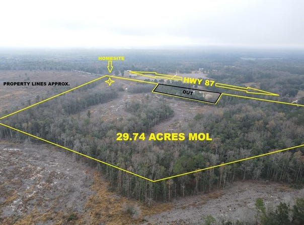29.74 Acres Highway 87, Samson, AL 36477