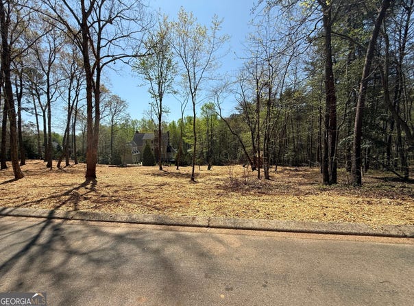 0 Yates Court, Clarkesville, GA 30523