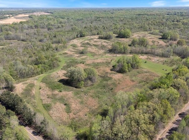 Hogfoot Road, SENATOBIA, MS 38668